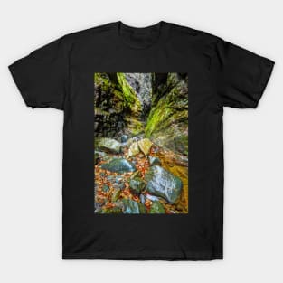 Canyon in mountains T-Shirt